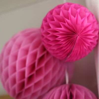 honeycomb fuchsia